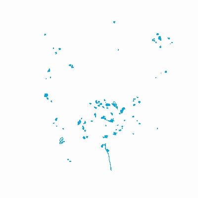 Export Image